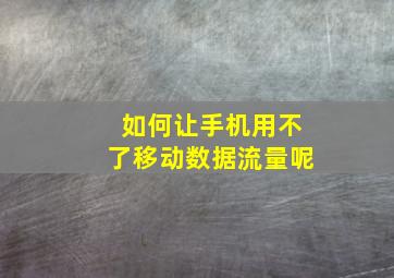 如何让手机用不了移动数据流量呢