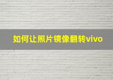 如何让照片镜像翻转vivo