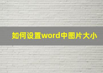 如何设置word中图片大小