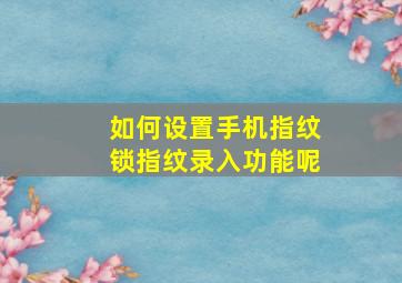 如何设置手机指纹锁指纹录入功能呢