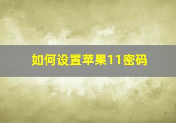 如何设置苹果11密码