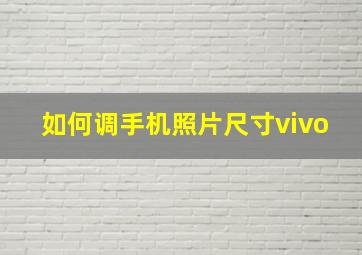 如何调手机照片尺寸vivo