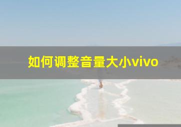 如何调整音量大小vivo