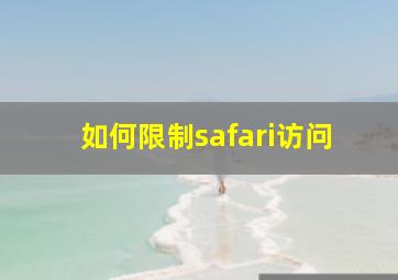 如何限制safari访问