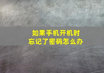 如果手机开机时忘记了密码怎么办