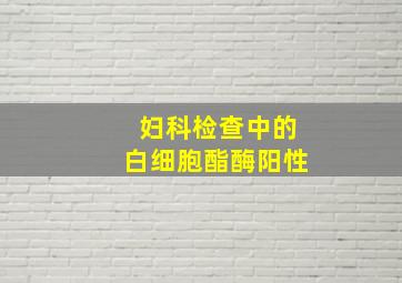 妇科检查中的白细胞酯酶阳性