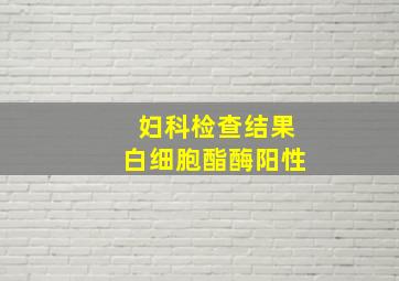 妇科检查结果白细胞酯酶阳性