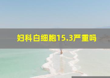 妇科白细胞15.3严重吗