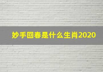 妙手回春是什么生肖2020