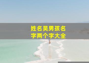 姓名吴男孩名字两个字大全