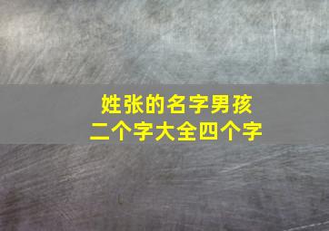 姓张的名字男孩二个字大全四个字