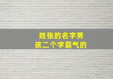 姓张的名字男孩二个字霸气的