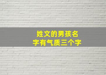 姓文的男孩名字有气质三个字