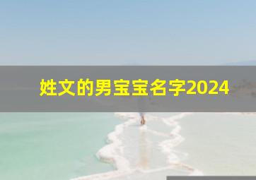 姓文的男宝宝名字2024