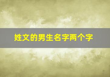 姓文的男生名字两个字