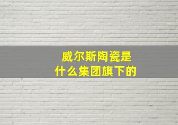 威尔斯陶瓷是什么集团旗下的