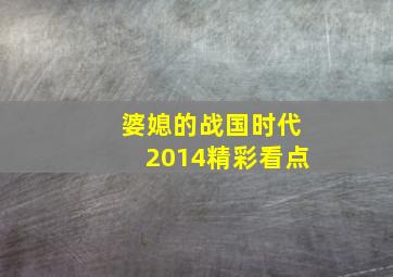 婆媳的战国时代2014精彩看点