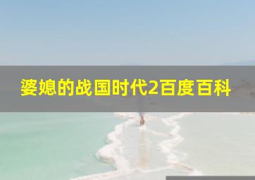 婆媳的战国时代2百度百科