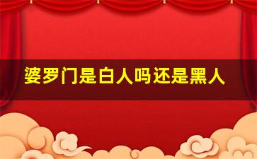 婆罗门是白人吗还是黑人