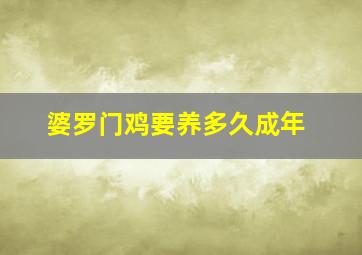 婆罗门鸡要养多久成年