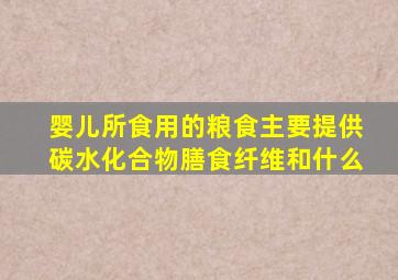 婴儿所食用的粮食主要提供碳水化合物膳食纤维和什么