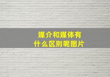 媒介和媒体有什么区别呢图片