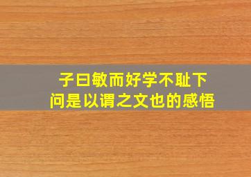 子曰敏而好学不耻下问是以谓之文也的感悟