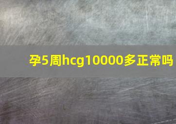 孕5周hcg10000多正常吗