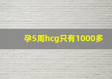 孕5周hcg只有1000多