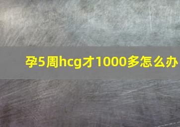 孕5周hcg才1000多怎么办