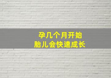 孕几个月开始胎儿会快速成长