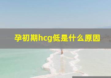 孕初期hcg低是什么原因