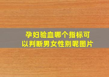 孕妇验血哪个指标可以判断男女性别呢图片