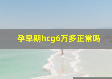 孕早期hcg6万多正常吗