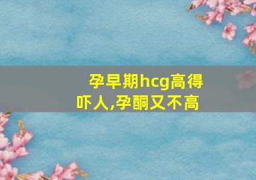 孕早期hcg高得吓人,孕酮又不高