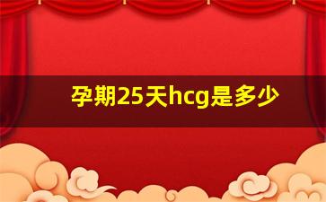 孕期25天hcg是多少