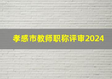 孝感市教师职称评审2024