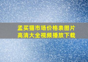 孟买猫市场价格表图片高清大全视频播放下载