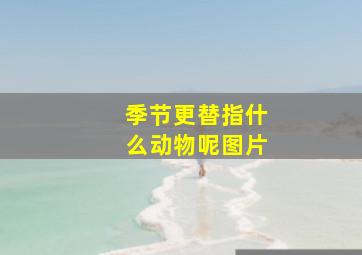 季节更替指什么动物呢图片