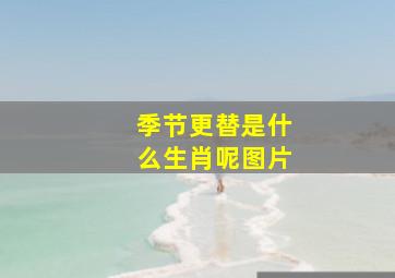 季节更替是什么生肖呢图片