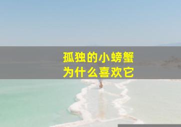 孤独的小螃蟹为什么喜欢它