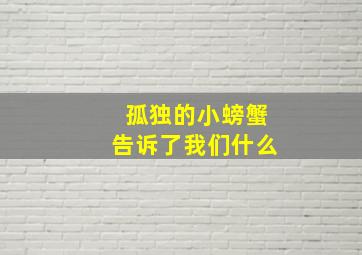 孤独的小螃蟹告诉了我们什么