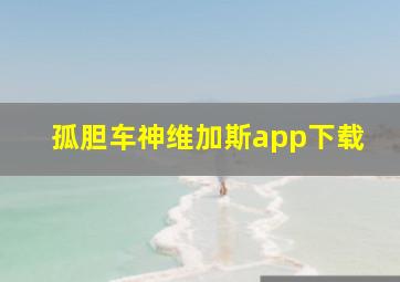 孤胆车神维加斯app下载