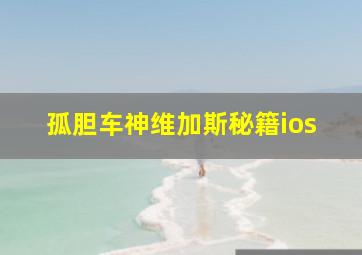 孤胆车神维加斯秘籍ios