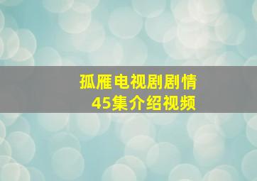 孤雁电视剧剧情45集介绍视频