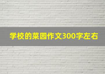 学校的菜园作文300字左右