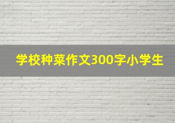 学校种菜作文300字小学生