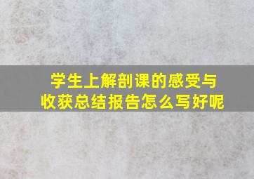 学生上解剖课的感受与收获总结报告怎么写好呢