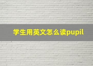 学生用英文怎么读pupil