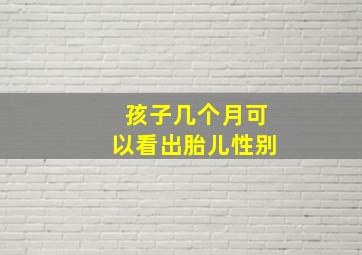 孩子几个月可以看出胎儿性别